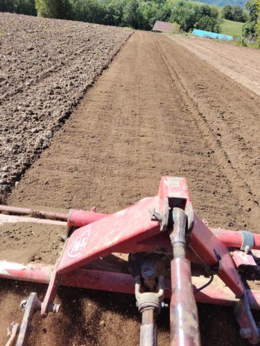 Vasovici-poljoprivredno-gazdinstvo-sadnja-krompira-i-prodaja-na-veliko