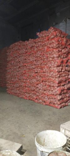 najbolja-cena-krompira-u-srbiji-najbolji-ukus-porodica-Vasovic