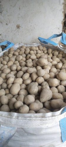 najbolji-kvalitet-krompira