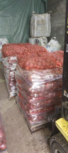 prodaja-krompira-na-veliko-ekstra-kvalitet-sa-planine-rajac-gornji-banjani