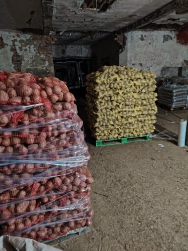 skladistenje-krompira-dugotrajan-krompir-vasovic-poljoprivredno-gazdinstvo-golija