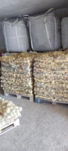 skladistenje-krompira-porodica-Vasovic