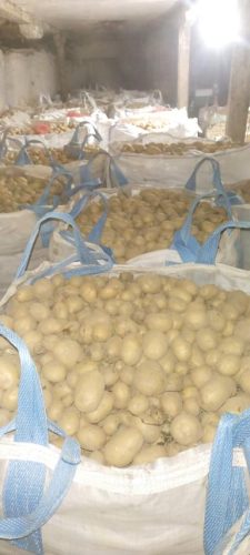 skladistenje-krompira-u-vrece